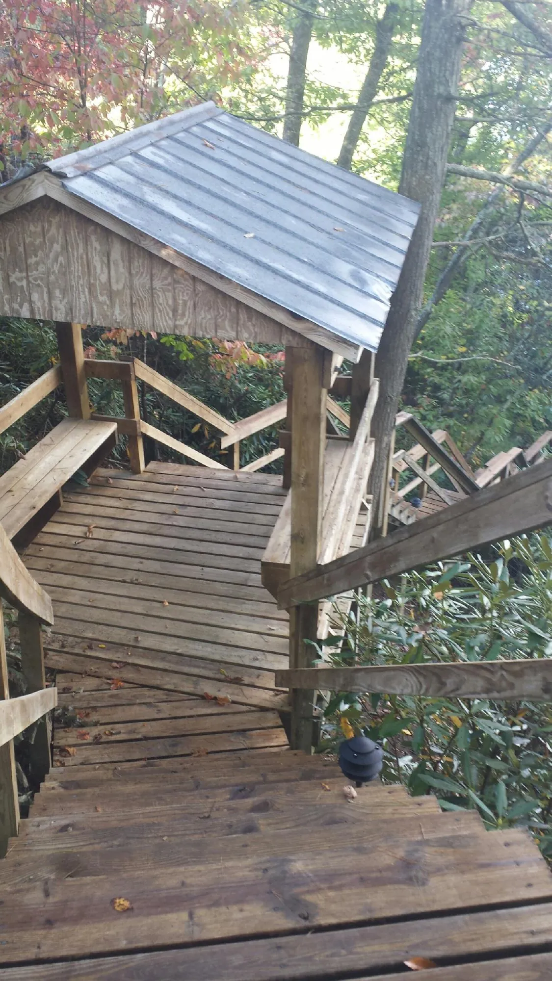 Metal roofed shelter over wooden steps on a wooded walkway — Skylight Repair & Installation work by our crew in Bonlee