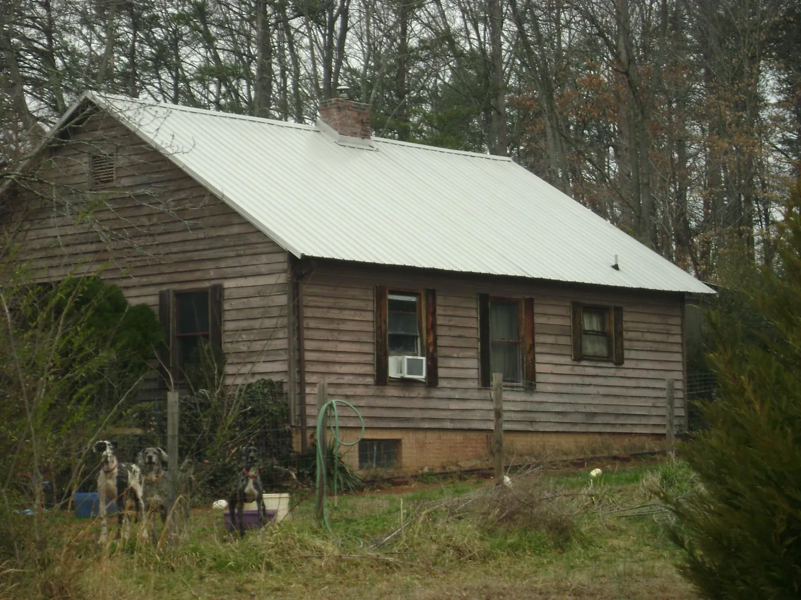 White metal roof on an old wood sided farmhouse, from a Asphalt Shingle Roof Repair job in Bonlee